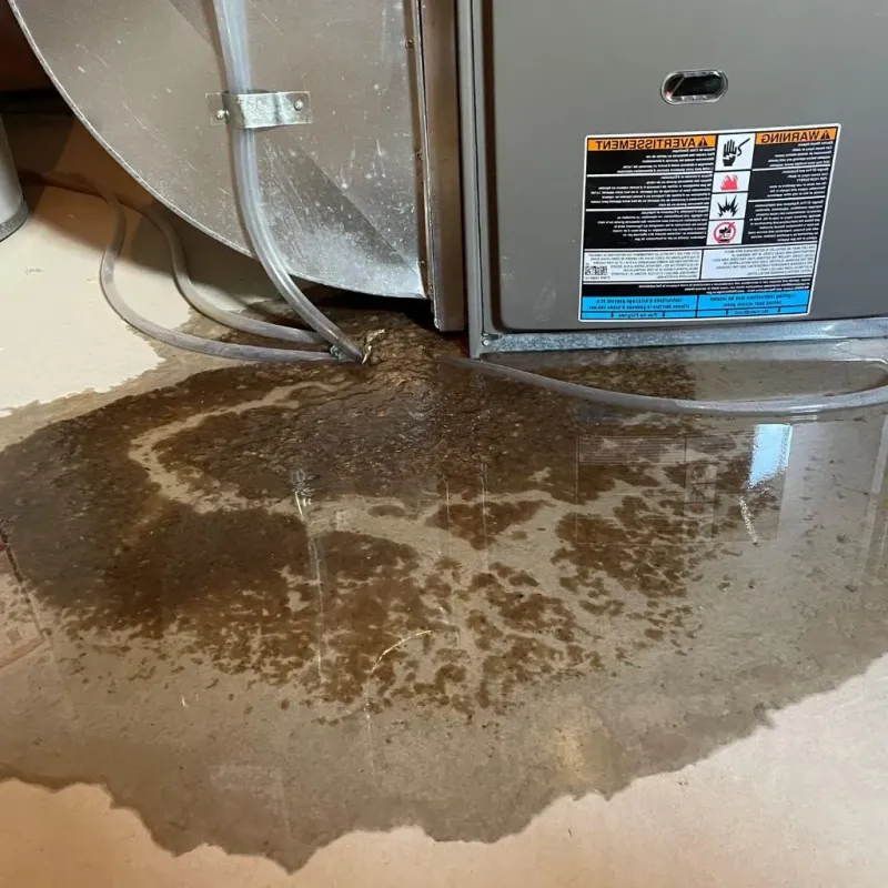 Pipe Burst and Leak Restoration in Stoneboro, PA