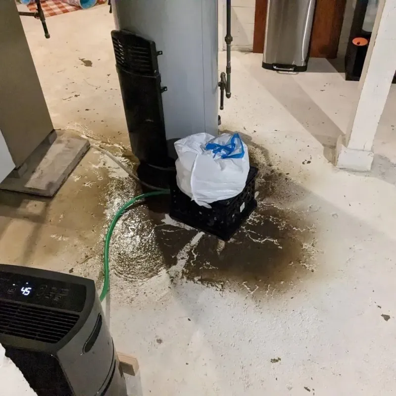 Sewage Backup Cleanup Service in Stoneboro, PA